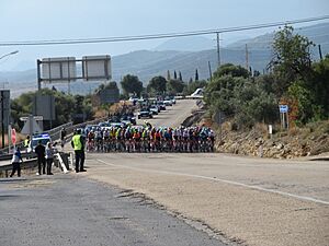 Archivo:Carrera ciclista. Pelotón ciclista transitando en agrupamiento