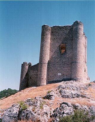 CastilloDeAnguix0002.jpg