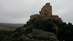 Castillo de Dos Hermanas (desde el Este) 01.jpg