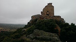 Archivo:Castillo de Dos Hermanas (desde el Este) 01