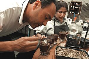 Archivo:Cata de café de California para su clasificación de forma tradicional