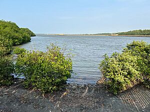 Archivo:CienagadeMallorquinBarranquilla