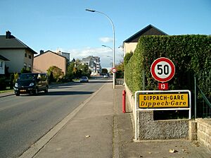 Archivo:Dippechgare01