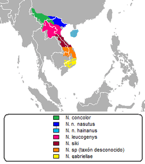 Archivo:Distribución nomascus