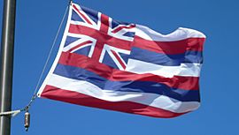 Archivo:Flag-of-hawaii-flying