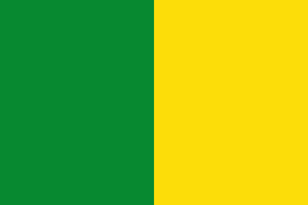 Flag of Amatitlán, Guatemala