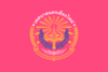 Flag of Chiang Mai City Municipality.svg