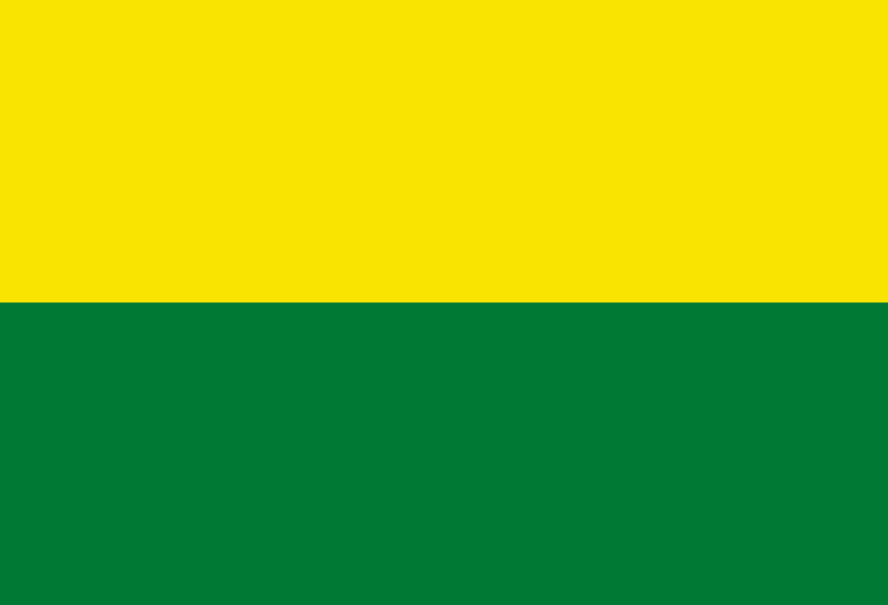 Flag of San Benito, Bolivia