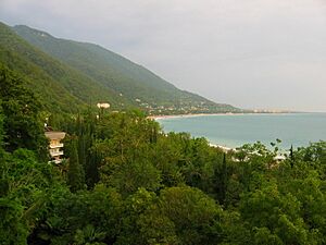 Archivo:Gagra. Аbkhazia