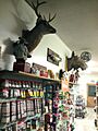 Hunting and fishing supplies Lanoue's General Store Orleans VT March 2013