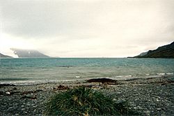Archivo:King Haakon Bay in South Georgia Island