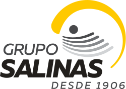 Logotipo de Grupo Salinas.svg