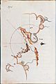 Map-031