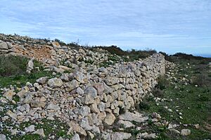 Archivo:Marges prop del castell d'Aixa