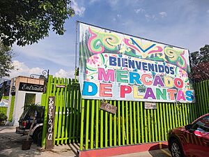 Archivo:Mercado Plantas Xochimilco