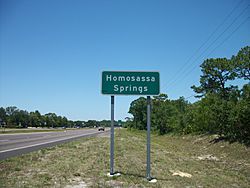 NB US 19-98 Homosassa Springs FL Sign.JPG