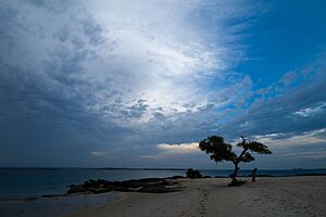 Archivo:NacalaBeach