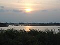 Pantanos de Centla 03