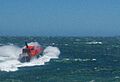 Parmelia in open water