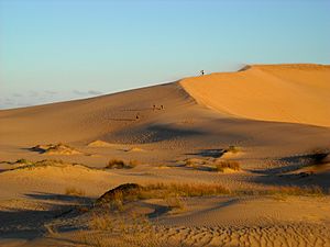 Archivo:Parque Nacional Cabo Polonio (1)