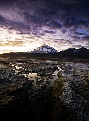 Parque nacional Sajama.jpg