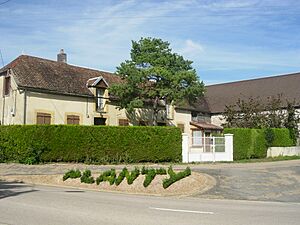 Archivo:Planty (2)
