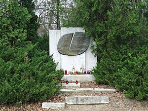 Archivo:Pomnik Czujkowa Poznań