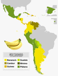 Archivo:Porpaís banana plátano