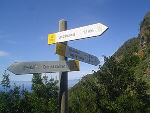 Archivo:Poste del sendero en una intercesión del sendero PR TF-10 y PR TF-10.1