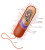 Prokaryote cell.svg