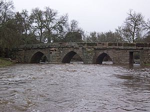 Archivo:Puente de La Albañeza