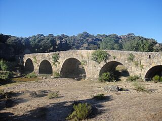 Puente mocho de Ledesma--2.JPG