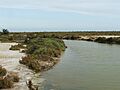 Punta Entinas Sabinar 1