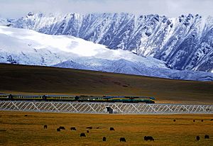 Archivo:Qingzang railway Train 01