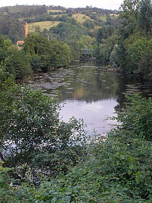 Archivo:Río Asón a su paso por Udalla (Ampuero, Cantabria)