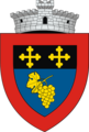 ROU SV Udesti CoA