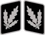 SS-Brigadeführer Collar Rank.svg