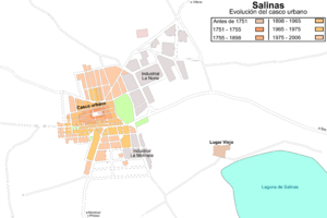 Archivo:Salinas - evolución
