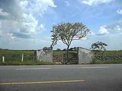 Santa Teresa (Temax), Yucatán (01).jpg