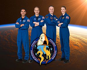 Archivo:SpaceX Crew-3 (official portrait)