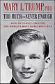 Too Much and Never Enough Front Cover (2020 first edition)