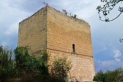 Archivo:Torre Fuerte-Santurde-14968