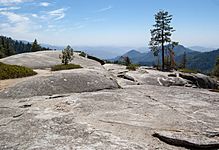 United States - California - Sequoia National Park - 02