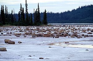 Archivo:Wood-Buffalo-NP Gros Beak Lake 2 98-07-02