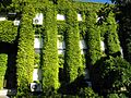 Yıldız Teknik Üniversitesi 13