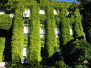 Archivo:Yıldız Teknik Üniversitesi 13