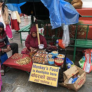 Archivo:"Monkey's food is Available here" store in Swyambhunath, Bagmati, Nepal