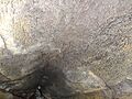 (lava tunnel) El Chato Reserve, Santa Cruz Highlands, Galápagos), inside view pic i