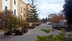 Archivo:Πανεπιστήμιο Αιγαίου, Ρόδος