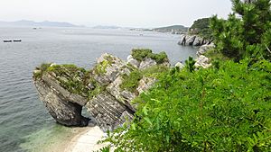 Archivo:大连国家地质公园11-蟹将出洞-海蚀崖